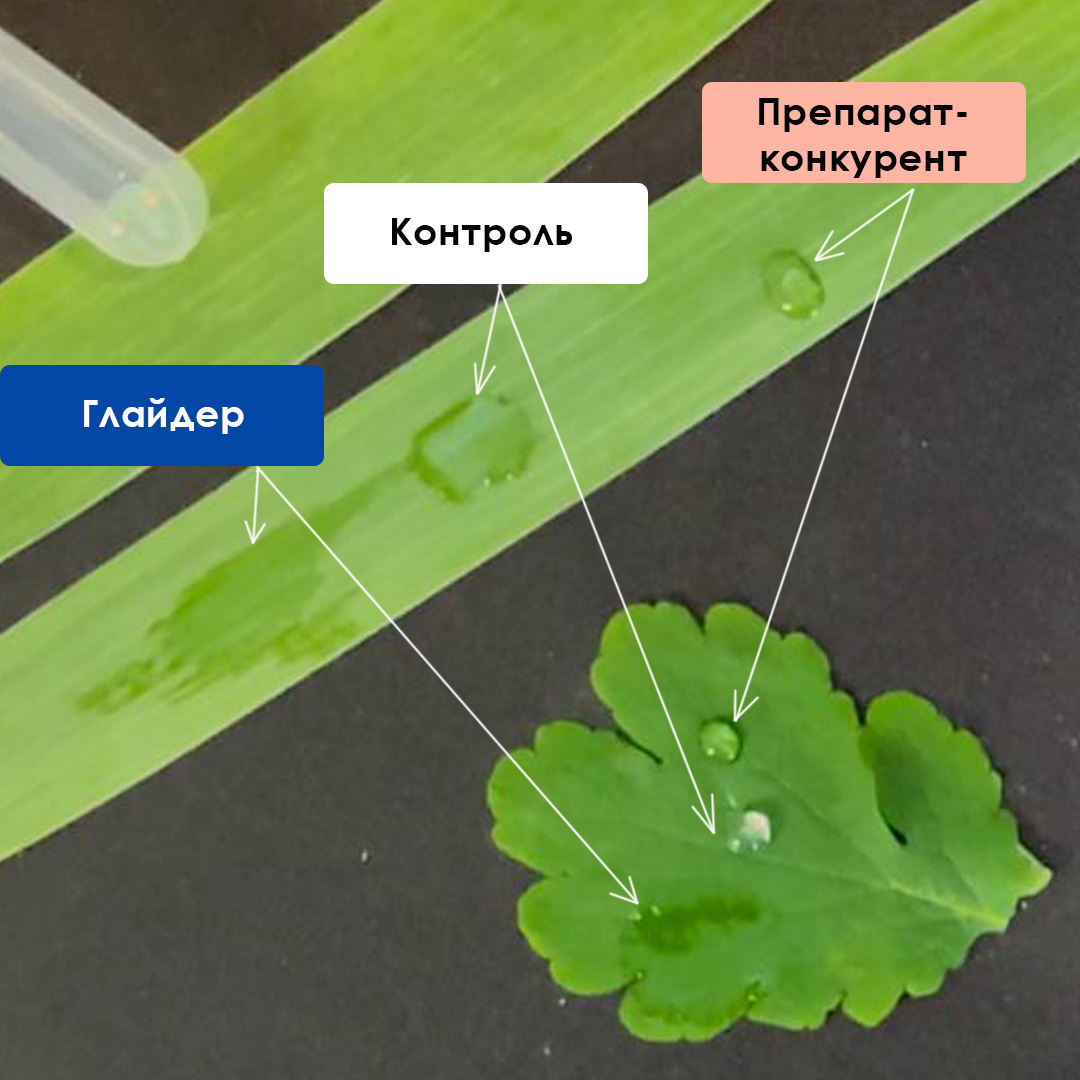 розтікання прлипача глайдер, контролю і препарату-конкурент