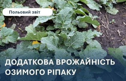 польовий звіт внесення Біоактівум